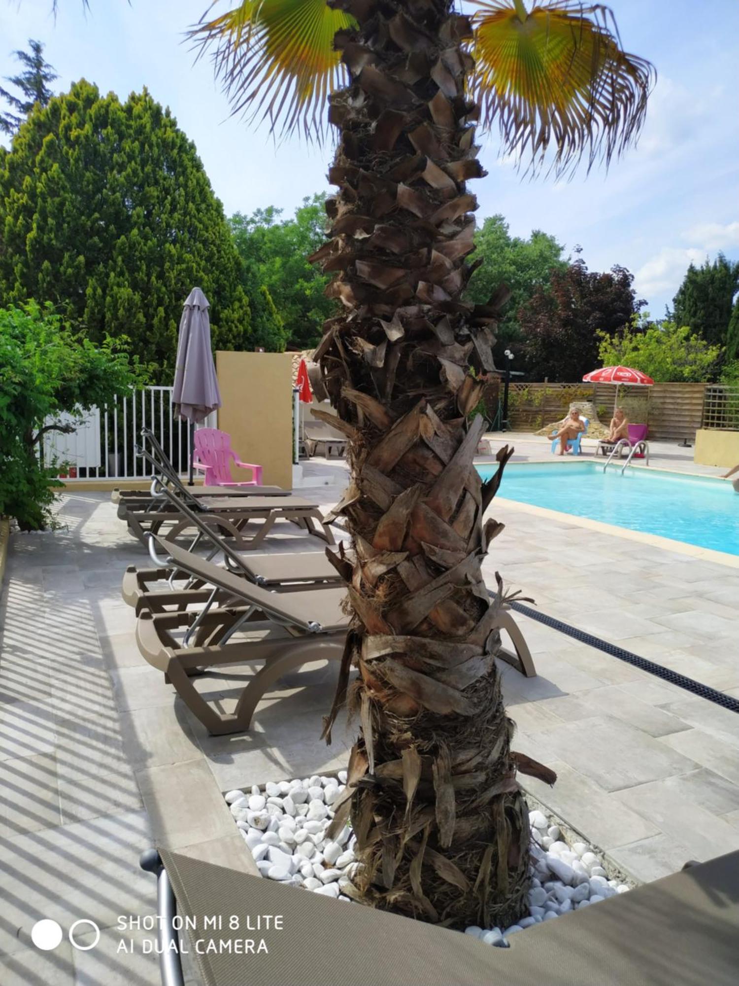 Campsite Camping L'olivier *