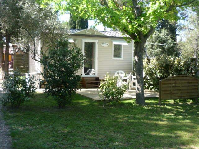 Campsite Camping L'olivier *